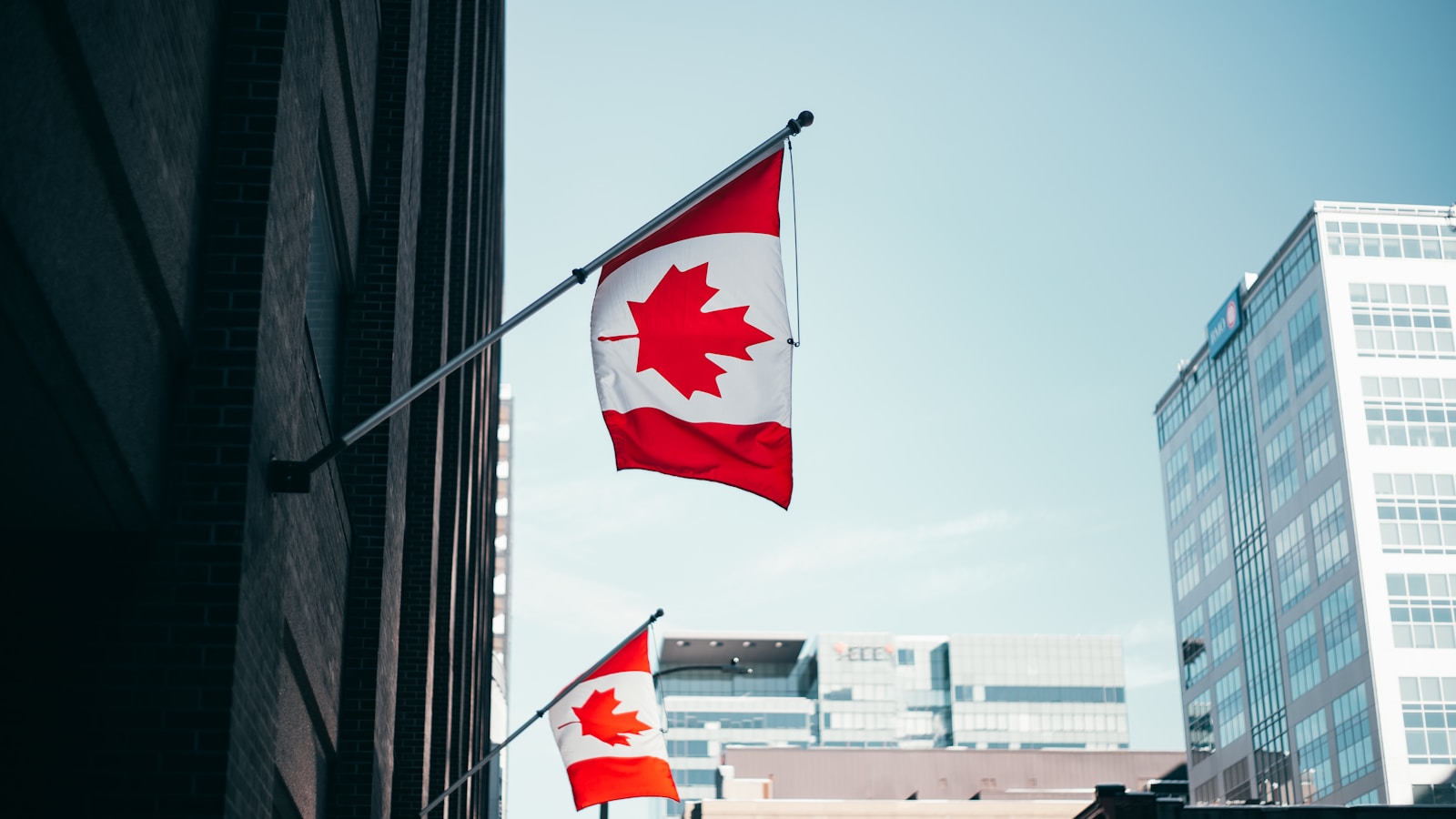 The Best Internet and Mobile Plan Deals for Canadians