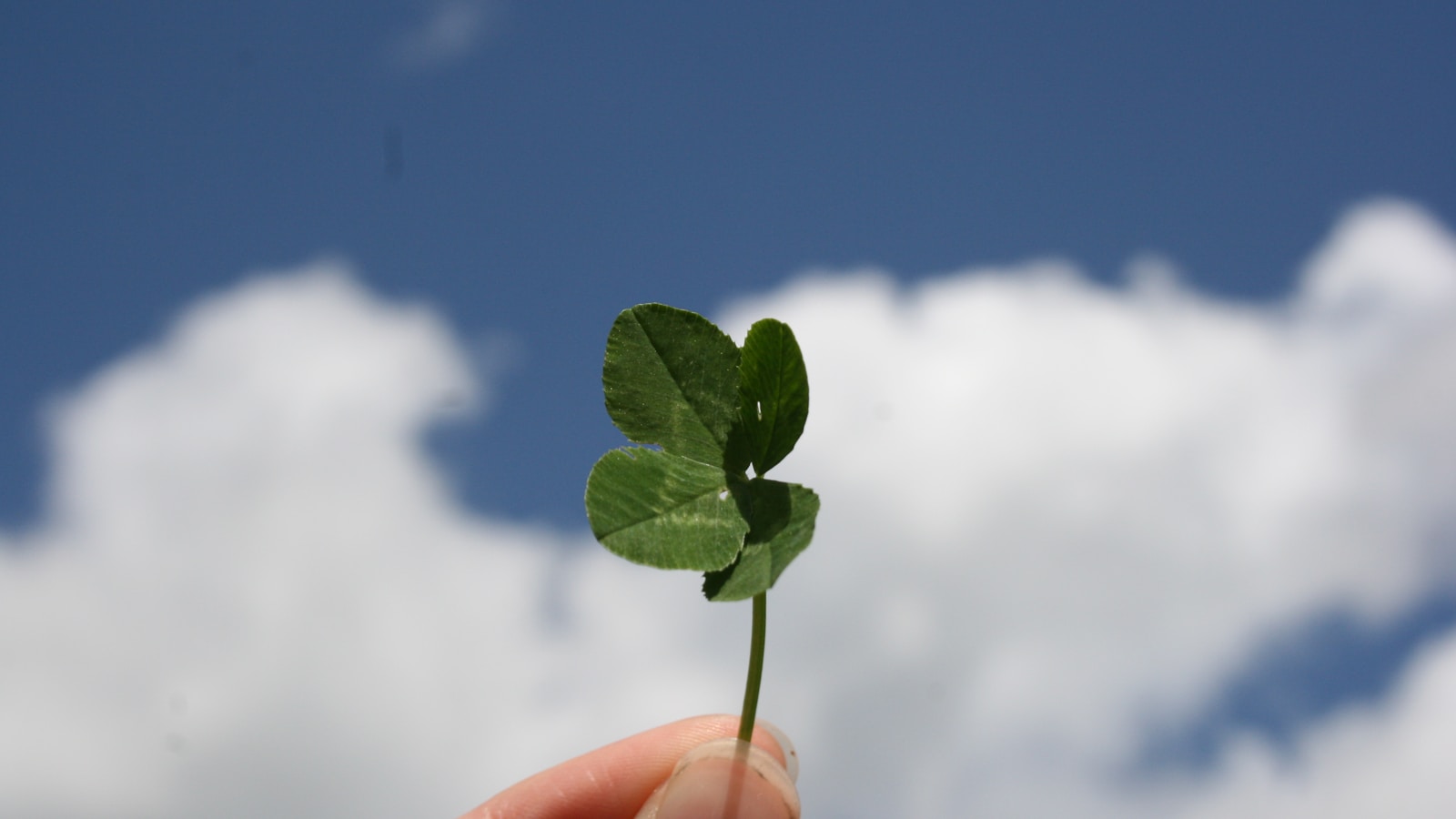 Lady Luck’s on Your Side With These 5+ Apps and Sites